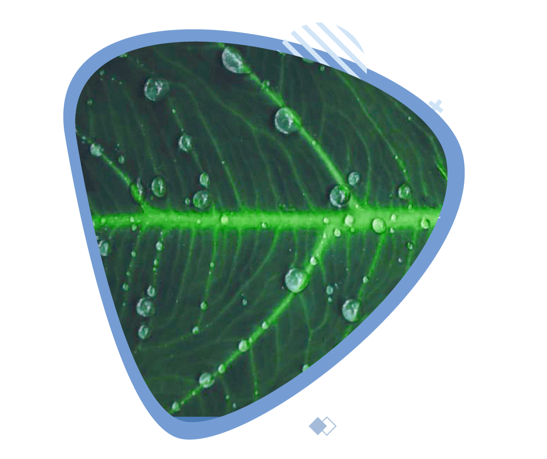 INFORMA ESG Intelligence: conciencia con ciencia 