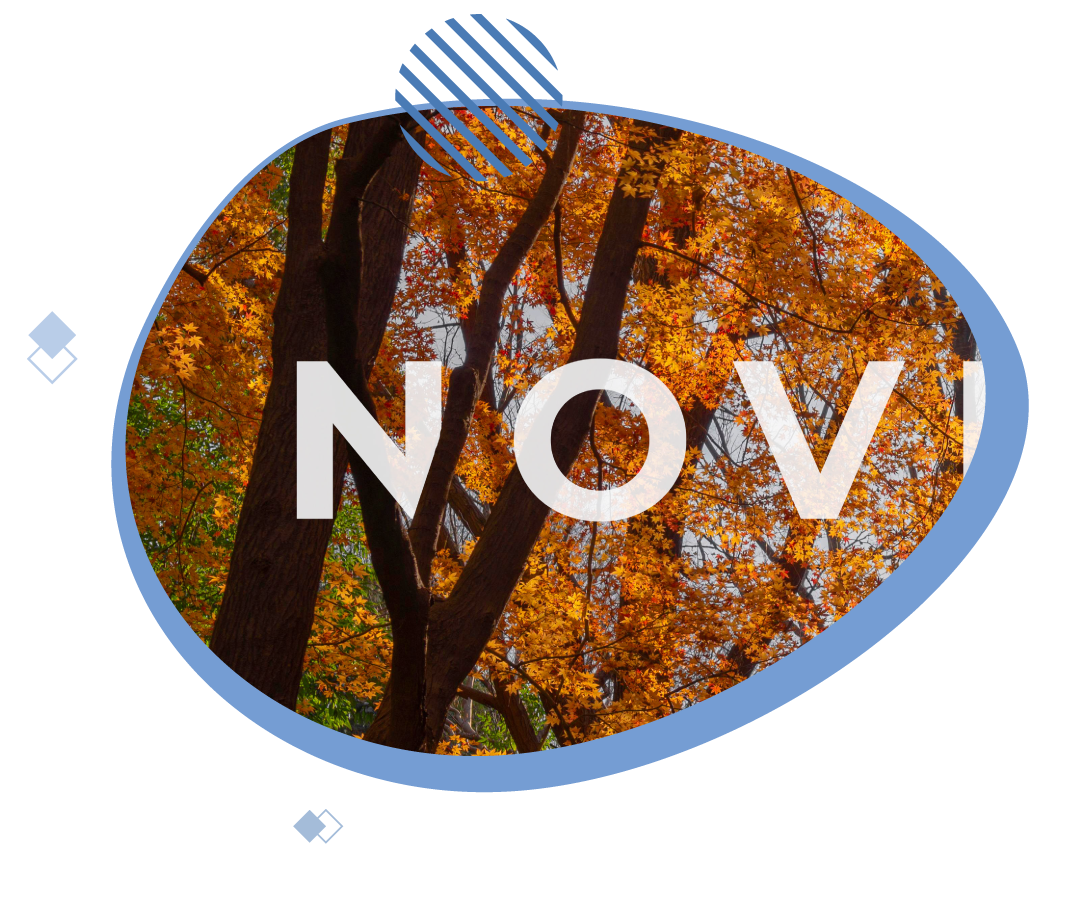 En noviembre hemos publicado los siguientes estudios: 