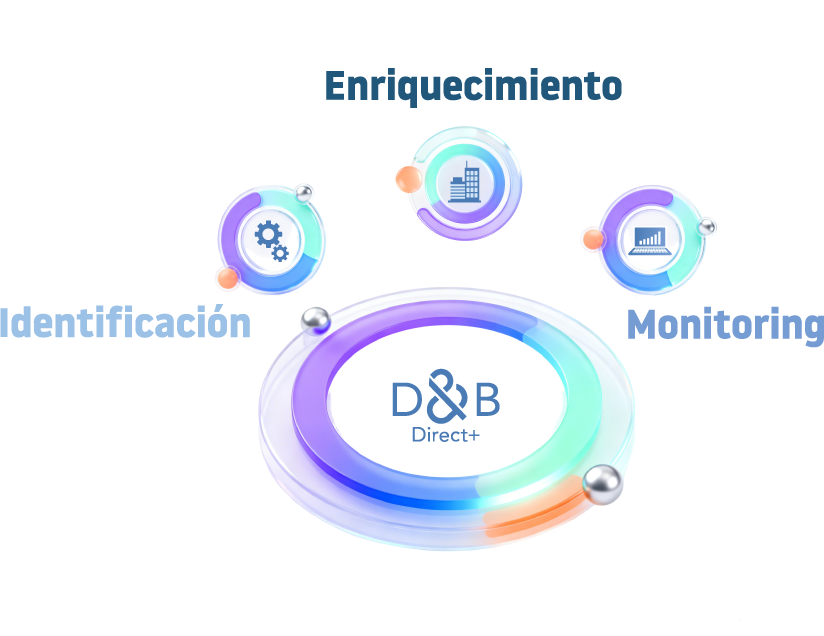 Quels sont les services offerts par la plateforme D&B Direct+ ?